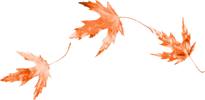 Png Клипарт Листья - Gold Leaf Clip Art Png (699x341)