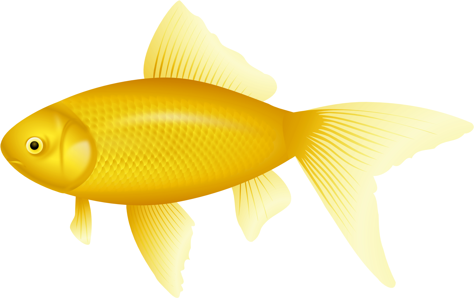 Yellow Fish Png Clipart - Yellow Fish (1670x1073)
