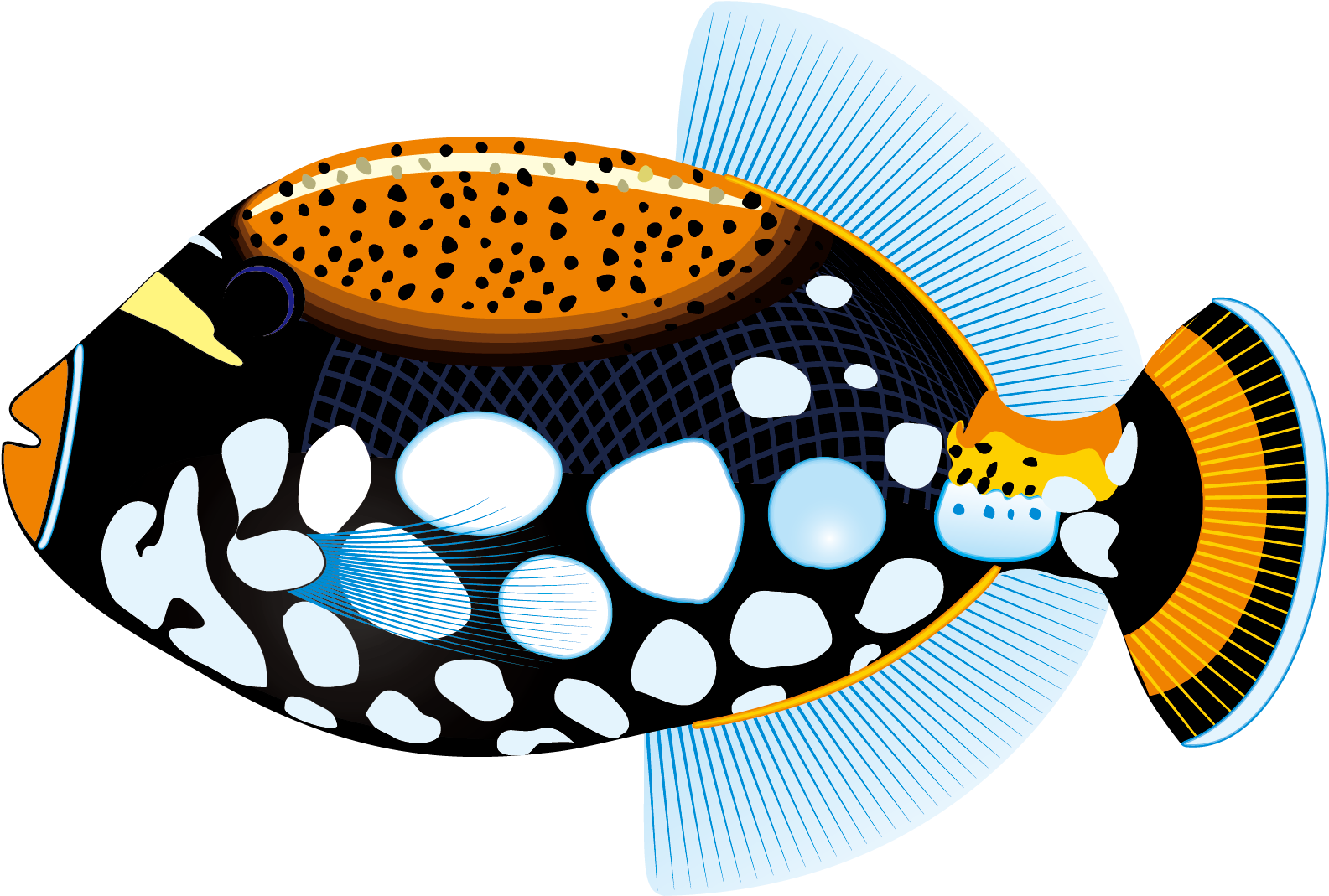 Tropical Fish Saltwater Fish Clip Art - Sticker Tropical Fish Aquarium Durable Boat D217 22xxc (1951x2133)