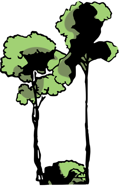 Jungle Trees Clipart 4, Buy Clip Art - Arbol De Selva Png (483x750)