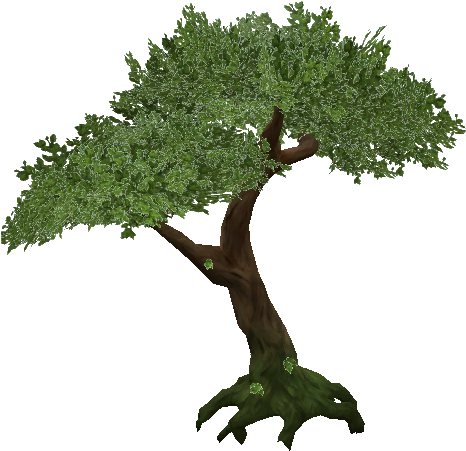 Jungle Tree Png Transparent - Jungle Tree Png (512x512)