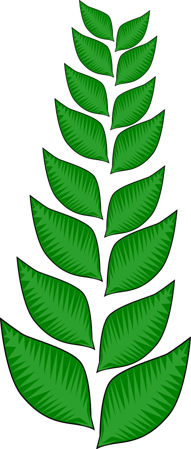 Jungle Vines Clipart - Vine Tree Cartoon (512x1200)