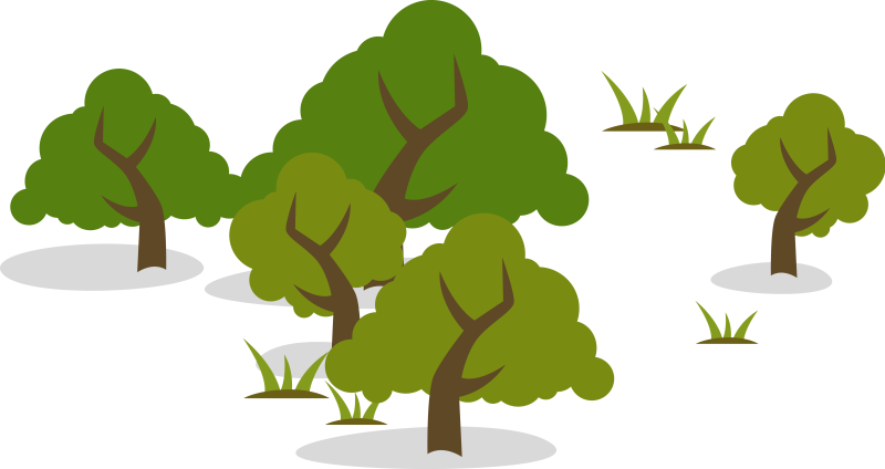 Stylized Illustration Of Five Trees And Other Vegetation - Education (800x424)