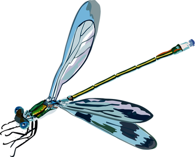 Dragonflies Clip Art - Clip Art (400x322)