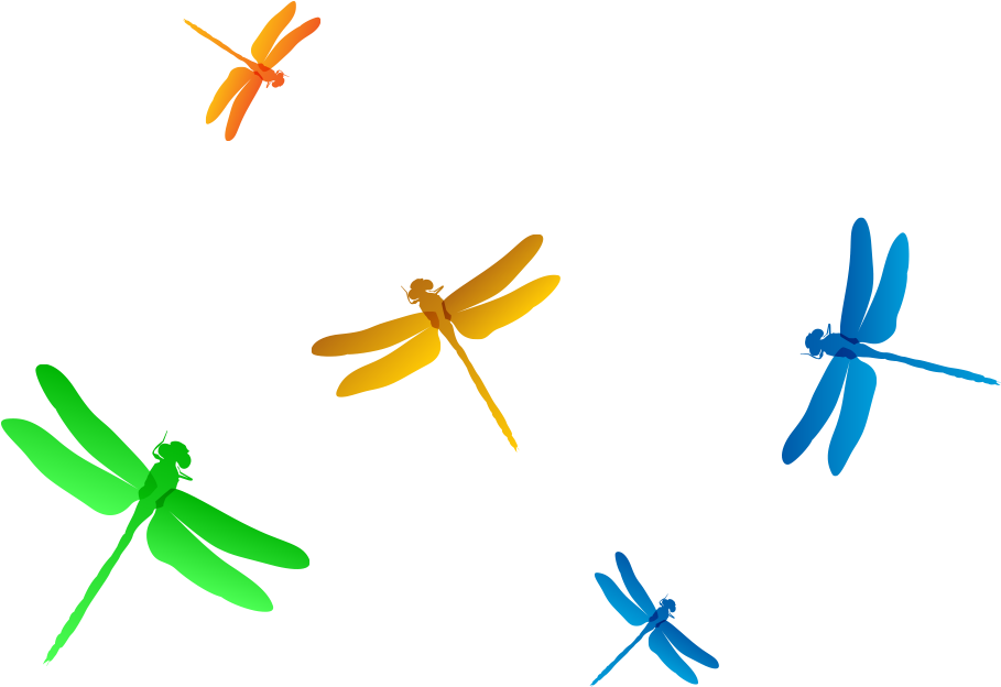 Dragonfly Euclidean Vector Clip Art - Dragonfly Euclidean Vector Clip Art (1028x877)