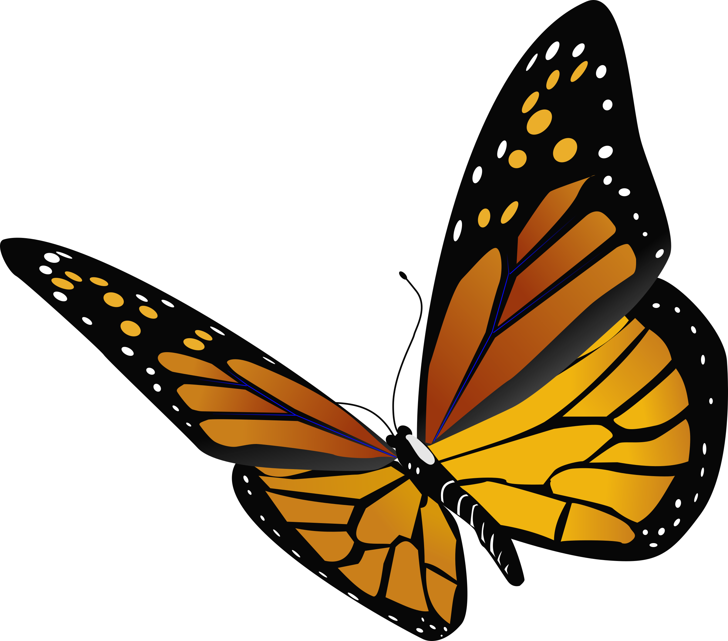 Monarch Butterfly Insect Clip Art - Close View Monarch Butterfly (2400x2115)