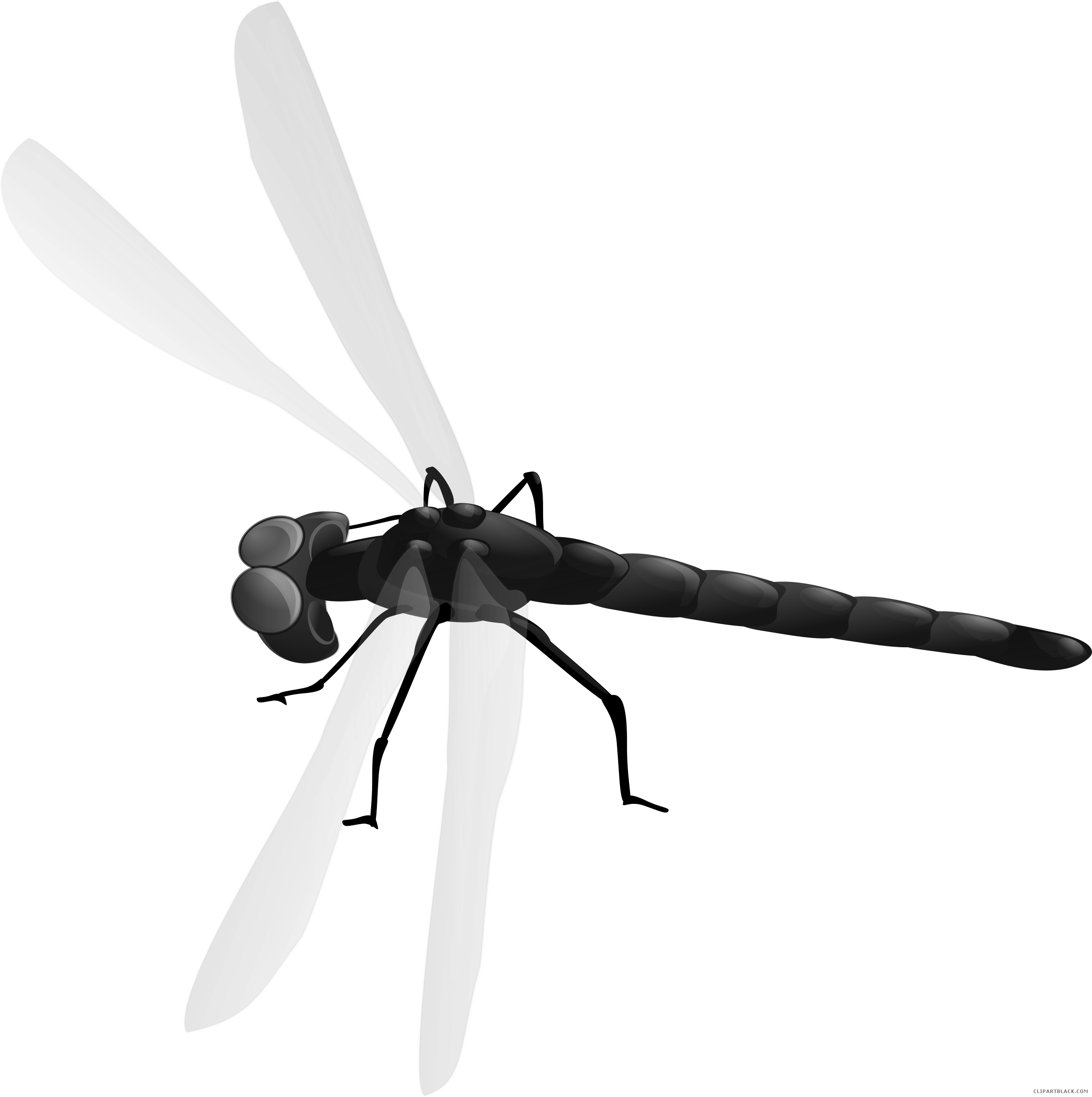 Dragonfly Animal Free Black White Clipart Images Clipartblack - Dragonfly Clipart (2489x2500)