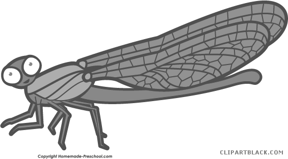 Amazing Dragonfly Animal Free Black White Clipart Images - Net-winged Insects (565x313)