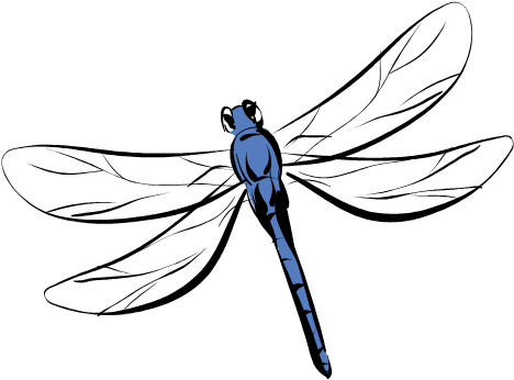Pond - Outline Picture Of Dragonfly (473x355)
