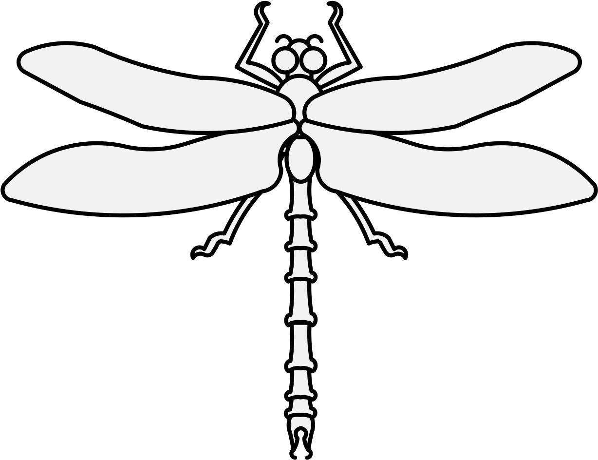 Dragonfly - Dragonfly (1237x969)