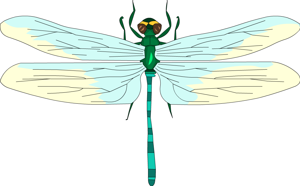 Below is a rendering. Dragonfly for Kids. Dragonfly in English for Kids. Стрекоза для корел драв. Dragonfly cartoon pic.