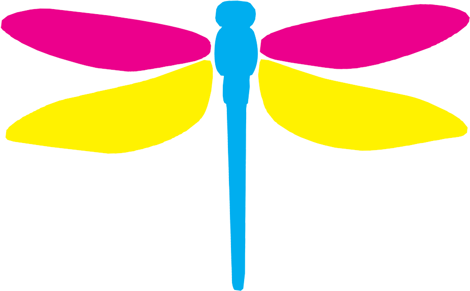 About Us - Dragonfly (2000x1414)