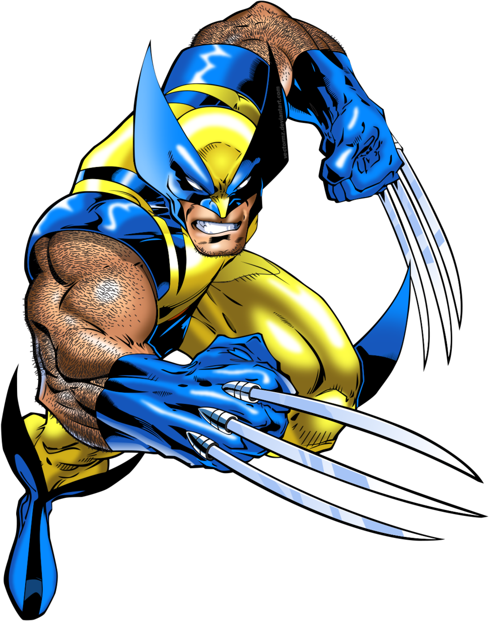 Wolverine - Wolverine Png (1024x1341)