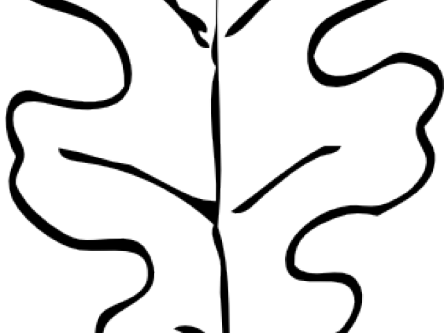 Oak Leaf Outline - Oak Leaf Outline (640x480)