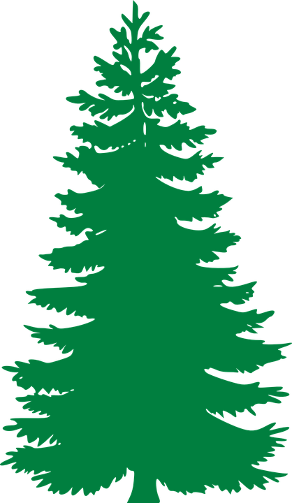 Free Vector Graphic - Pine Tree Silhouette (418x720)