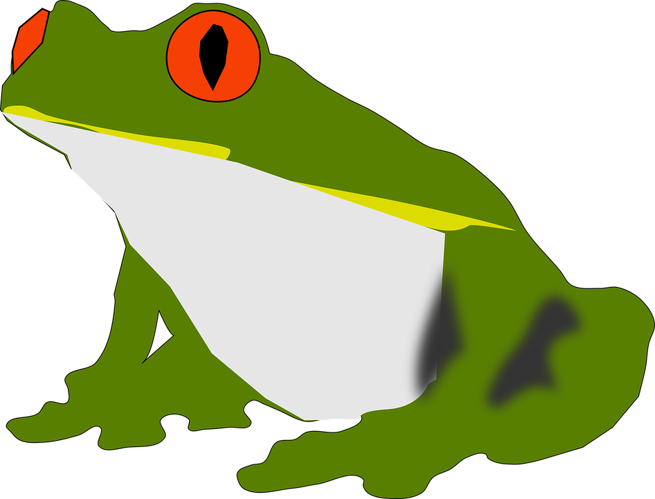 Snow Frog Cliparts 8, Buy Clip Art - Frog Favicon (986x750)