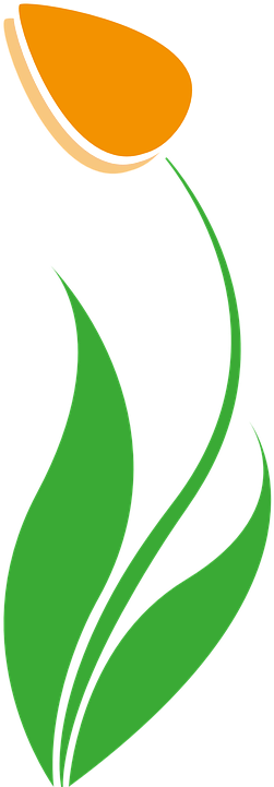 Free Vector Graphic - Tulip Vector Png (360x720)
