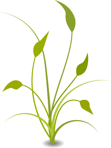 Green Plant With Leaves - Nature Png Clipart (374x500)