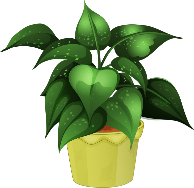Clipart - Flower Pot Illustration Png (800x762)