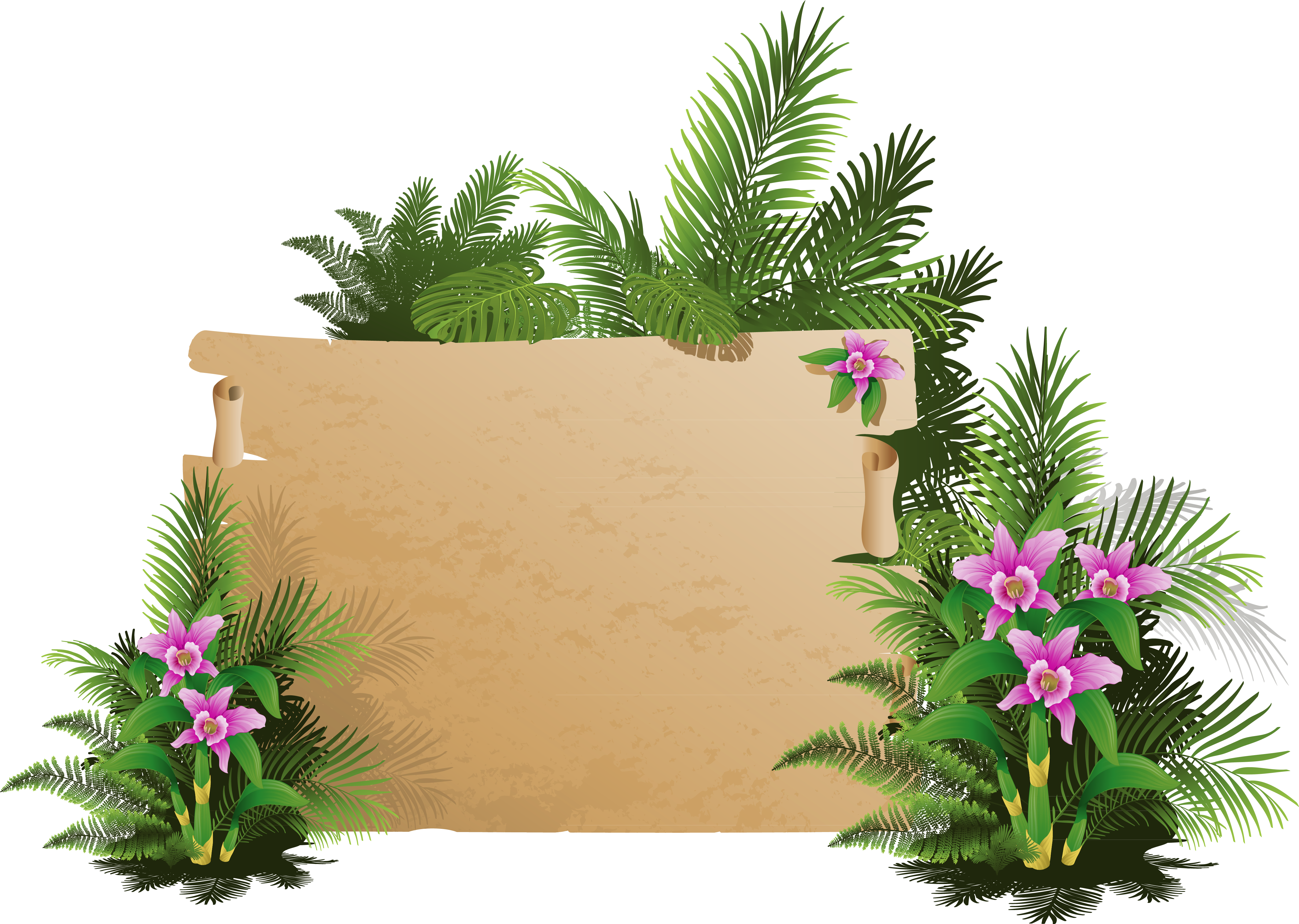 Summer Exotic Board Png Clipart - Mensagens De Otimismo Com Bom Dia (4911x3578)