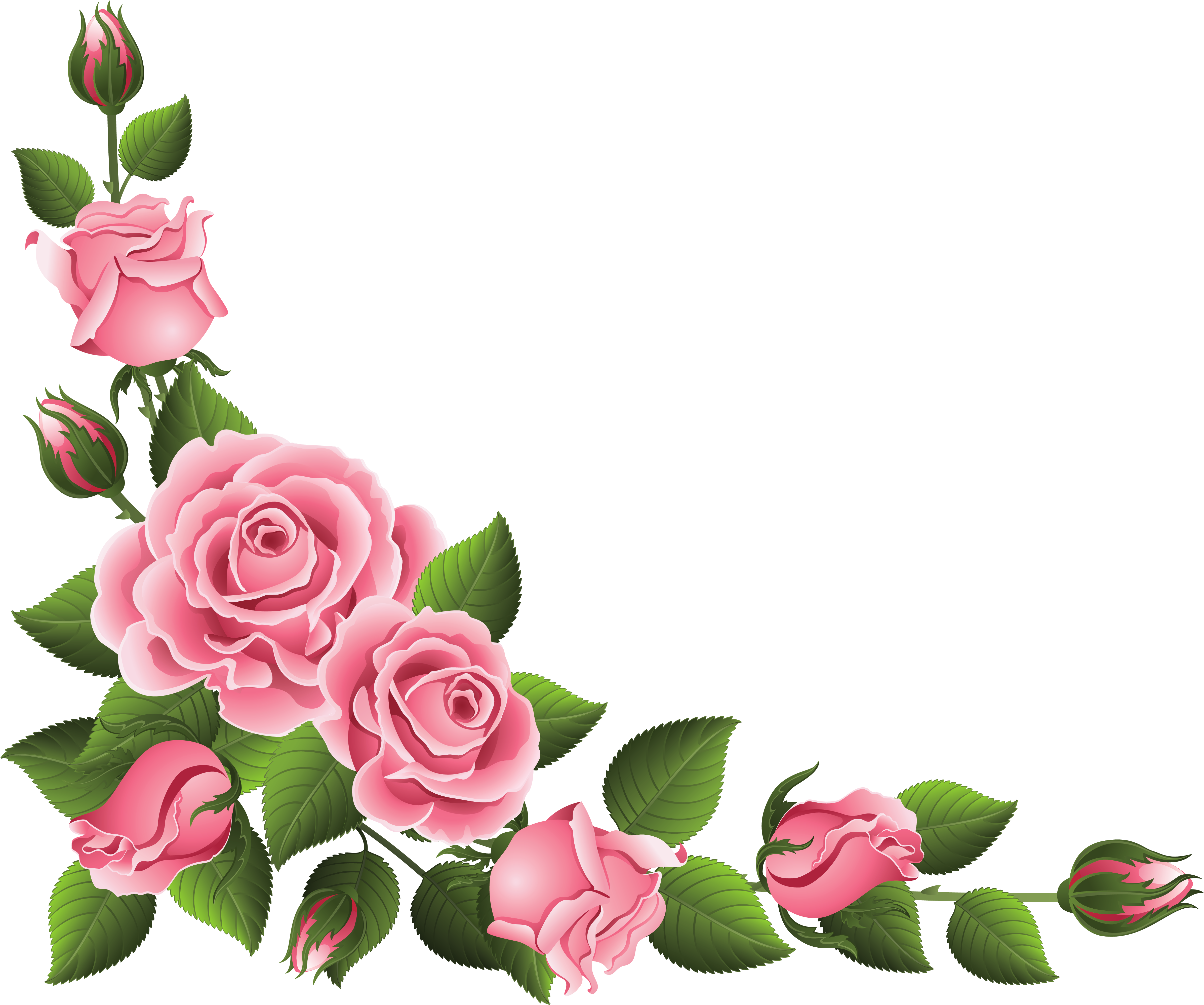 Delightful Design Rose Border Clipart Corner Decoration - Delightful Design Rose Border Clipart Corner Decoration (5057x4175)