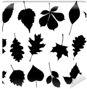 Fotomural Ilustración Vectorial Conjunto De 18 Siluetas - Leaf Silhouette Vector (400x400)