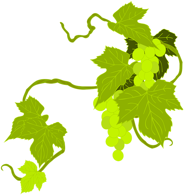 Grape Png 24, Buy Clip Art - Grape Leaf Clip Art (720x720)