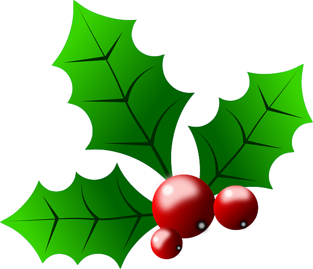 Free Vector Graphic - Christmas Holly Clipart (640x550)