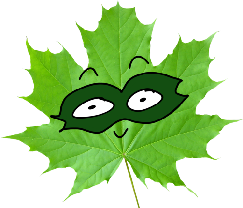 Grape Leaf Clipart - 4 Major Functions Of Leaves (540x540)