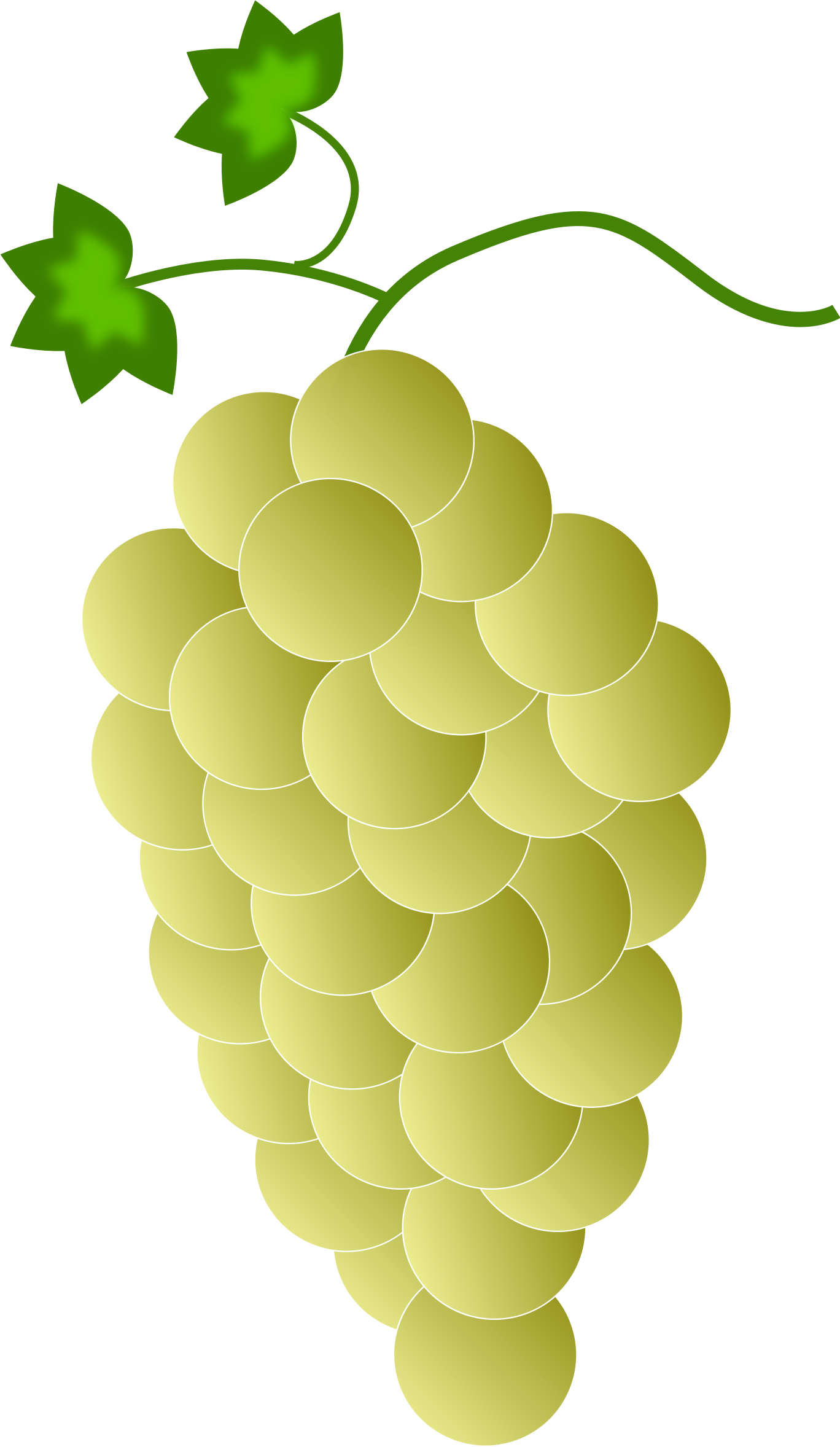 Clipart Yellow Grapes - Yellow Grapes Clipart (1368x2356)