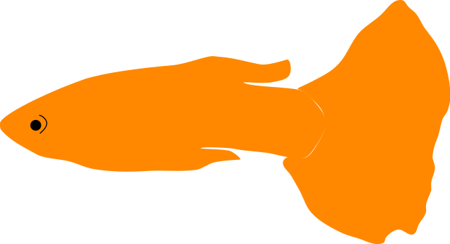 320 × 174 Pixels - Wikimedia Commons (640x348)