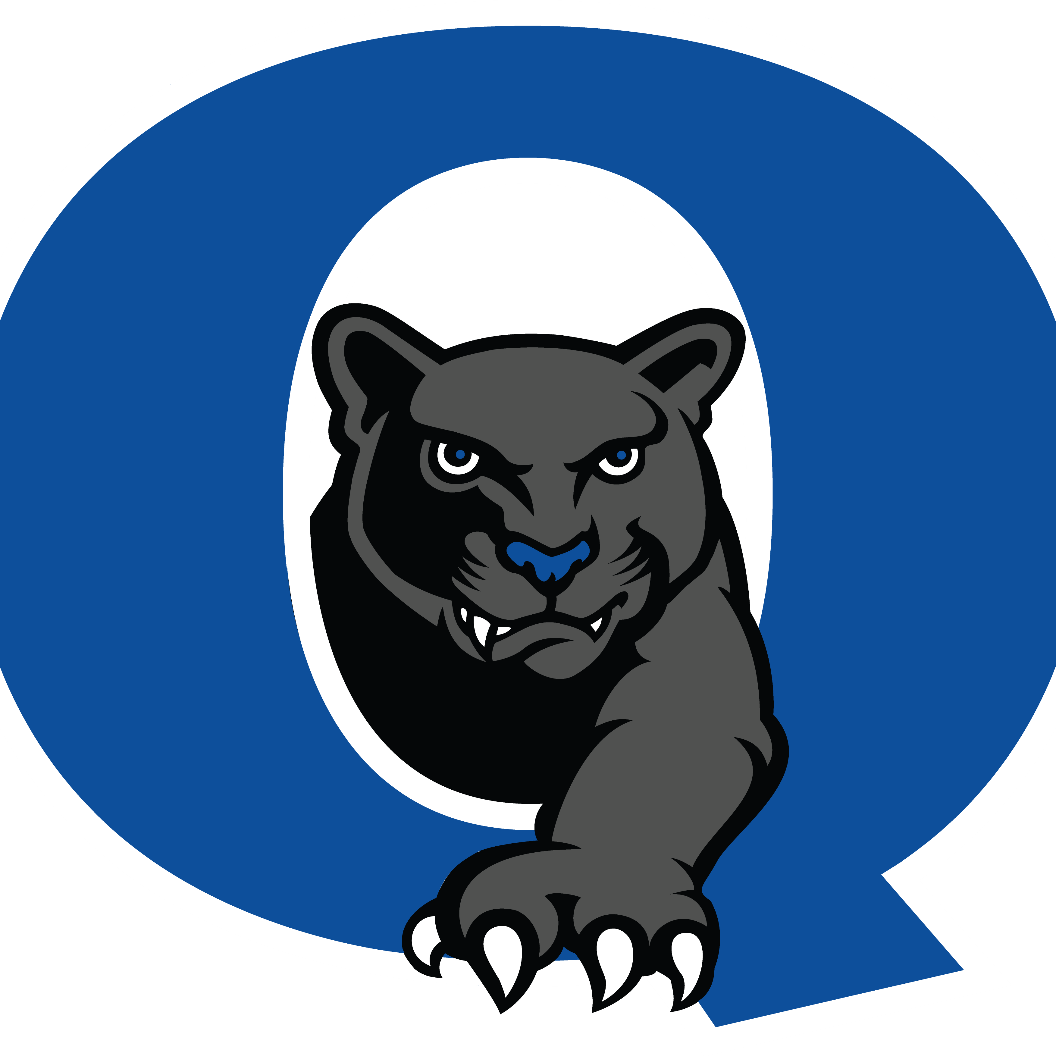 Quakertown Comm Hs - Quakertown High School Logo (3505x3505)