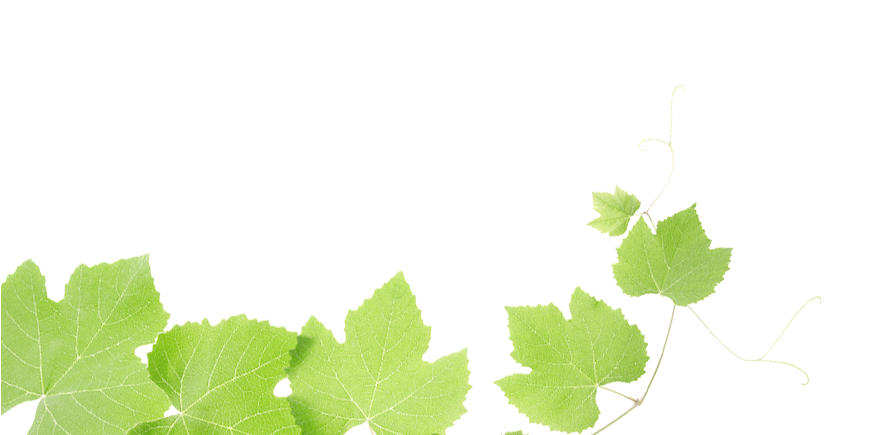 Grape Leaves Clipart Transparent Background - Beat Depression One Step (940x434)