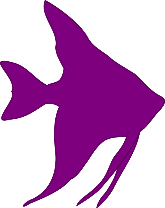Angelfish Clipart - Cartoon Angel Fish Clipart (572x720)