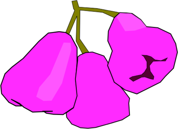 Jambu Monyet Vector Clip Art - Jambu Clipart (600x435)