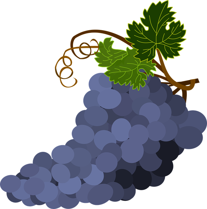 Pictures Of Grape Leaves - Grap3s Clipart (715x720)