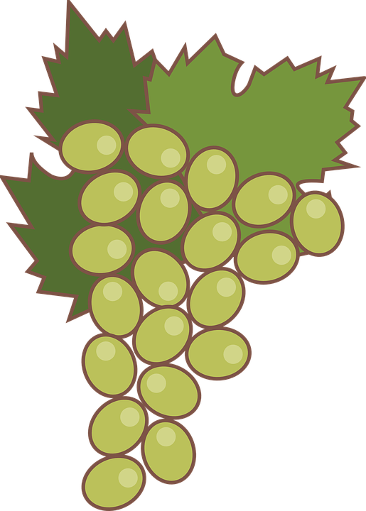 Grape Leaf Cliparts 12, Buy Clip Art - Grape (515x720)
