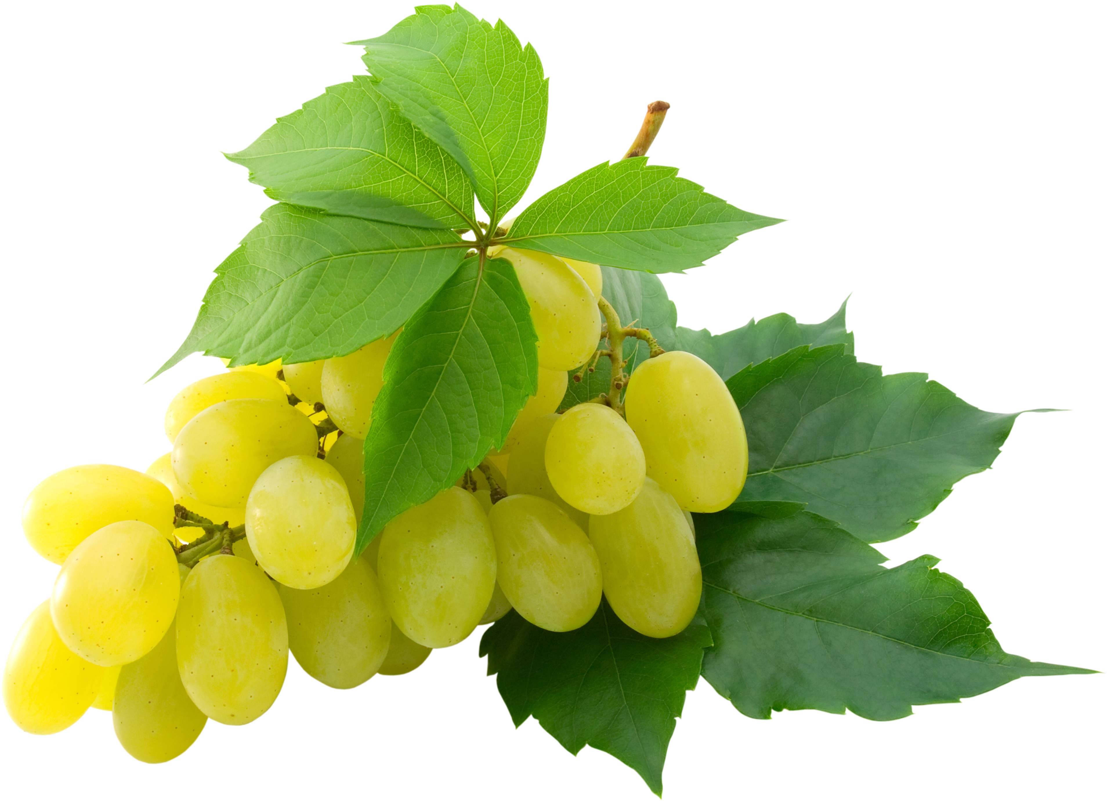 Grape - Green Grapes Png (3816x2762)