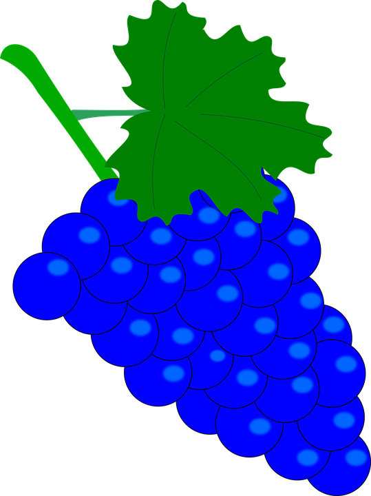 Red Grapes Cliparts 15, Buy Clip Art - Grape (539x720)