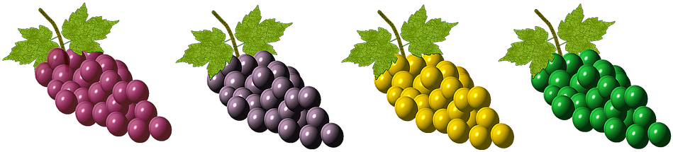 Grape Leaf Cliparts 23, Buy Clip Art - Seedless Fruit (960x384)
