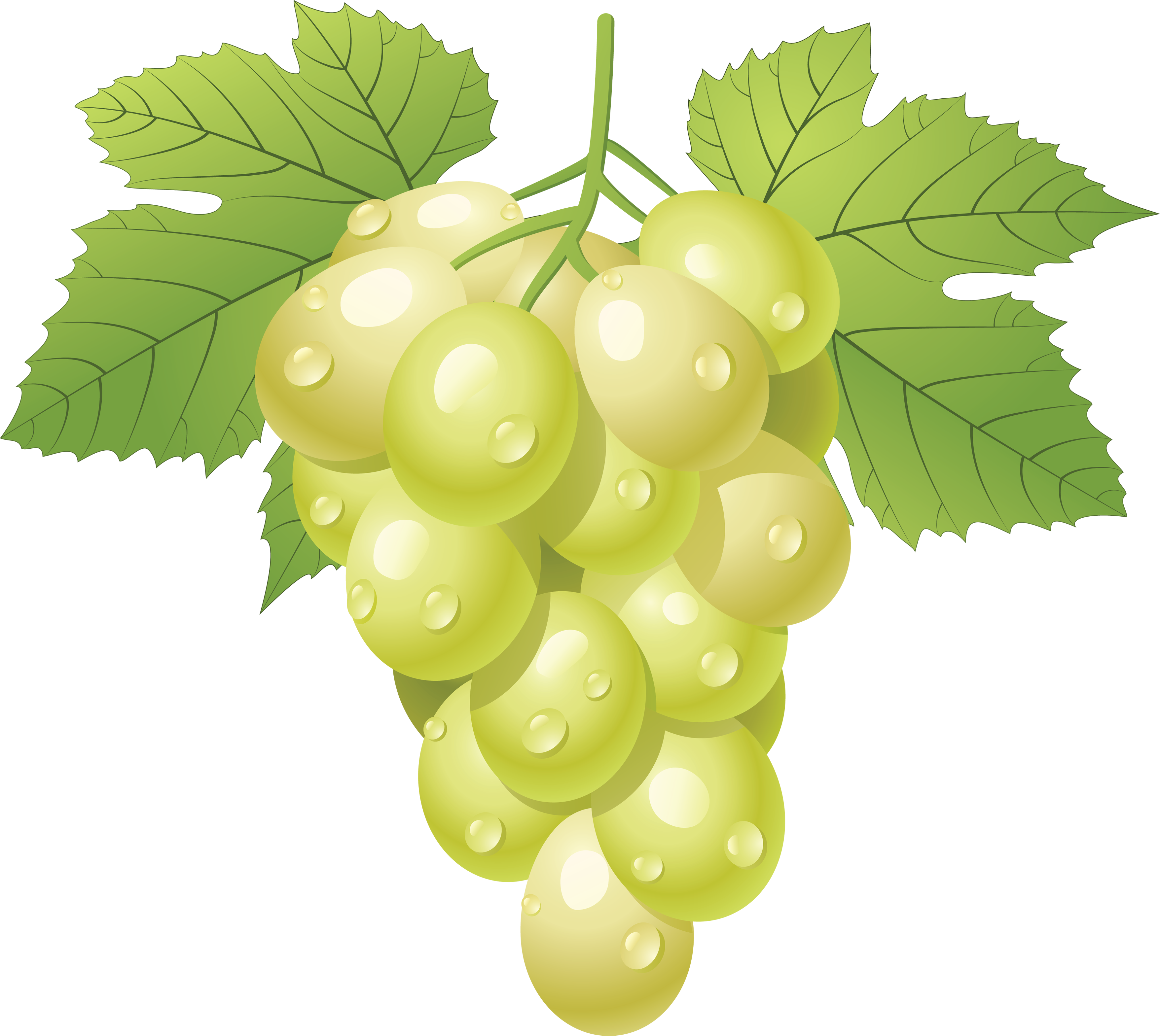 Grapes Clipart Png (3512x3138)