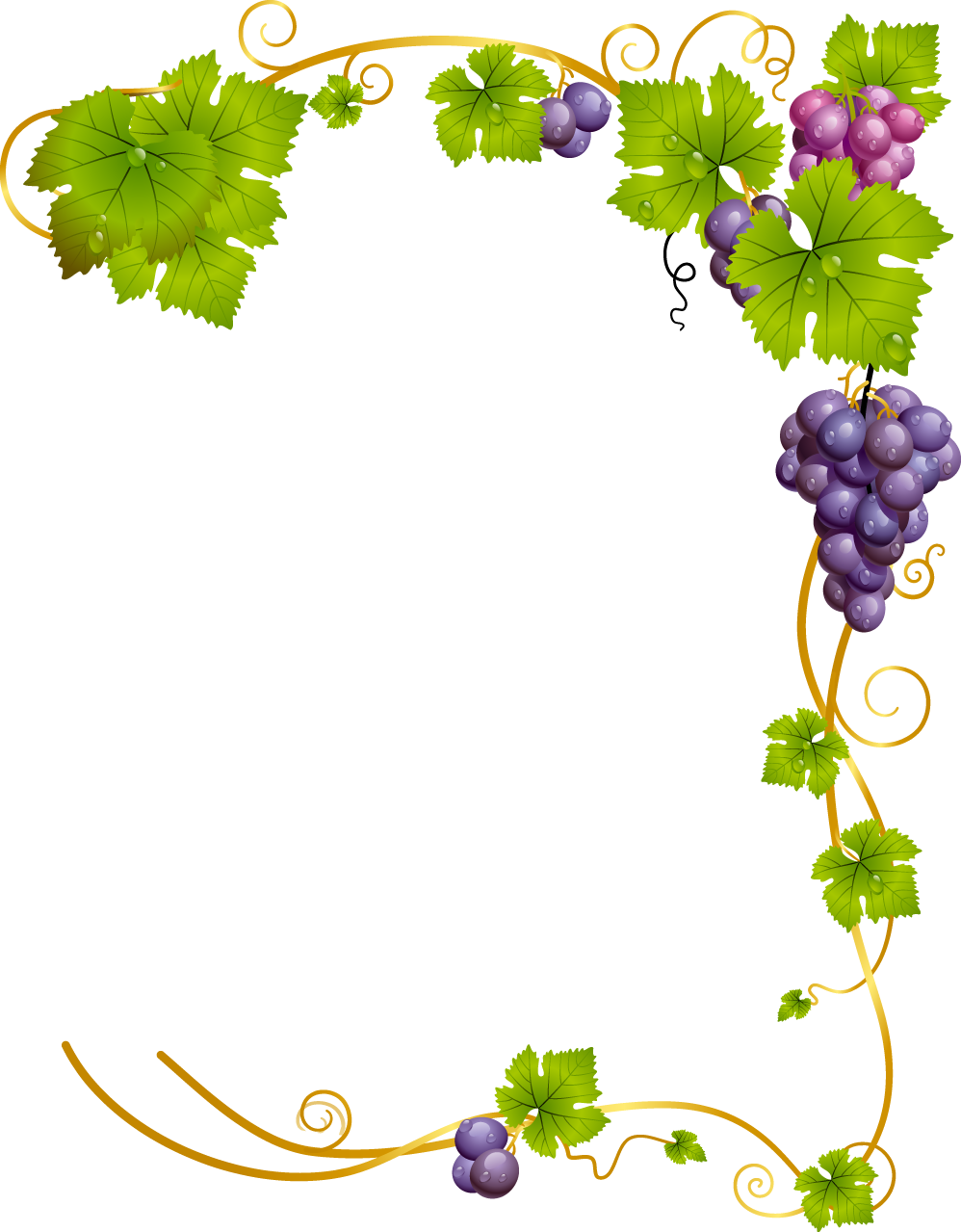 Common Grape Vine Wine - Wine Frame Png (998x1279)