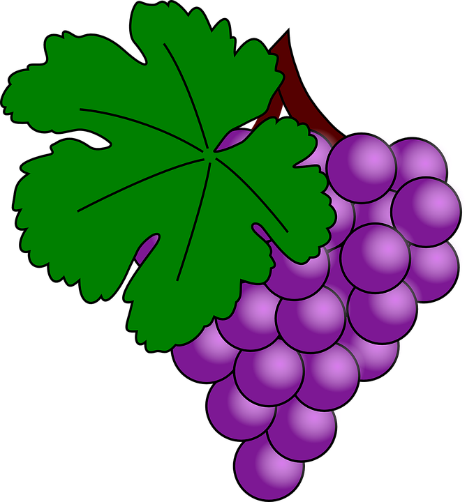 Cartoon Grapes 8, Buy Clip Art - Uva Clipart (669x720)