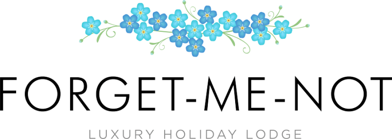 Forget Me Nots Clipart (800x284)