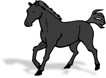 Arabian Horse Clip Art - Horse Clip Art (491x336)