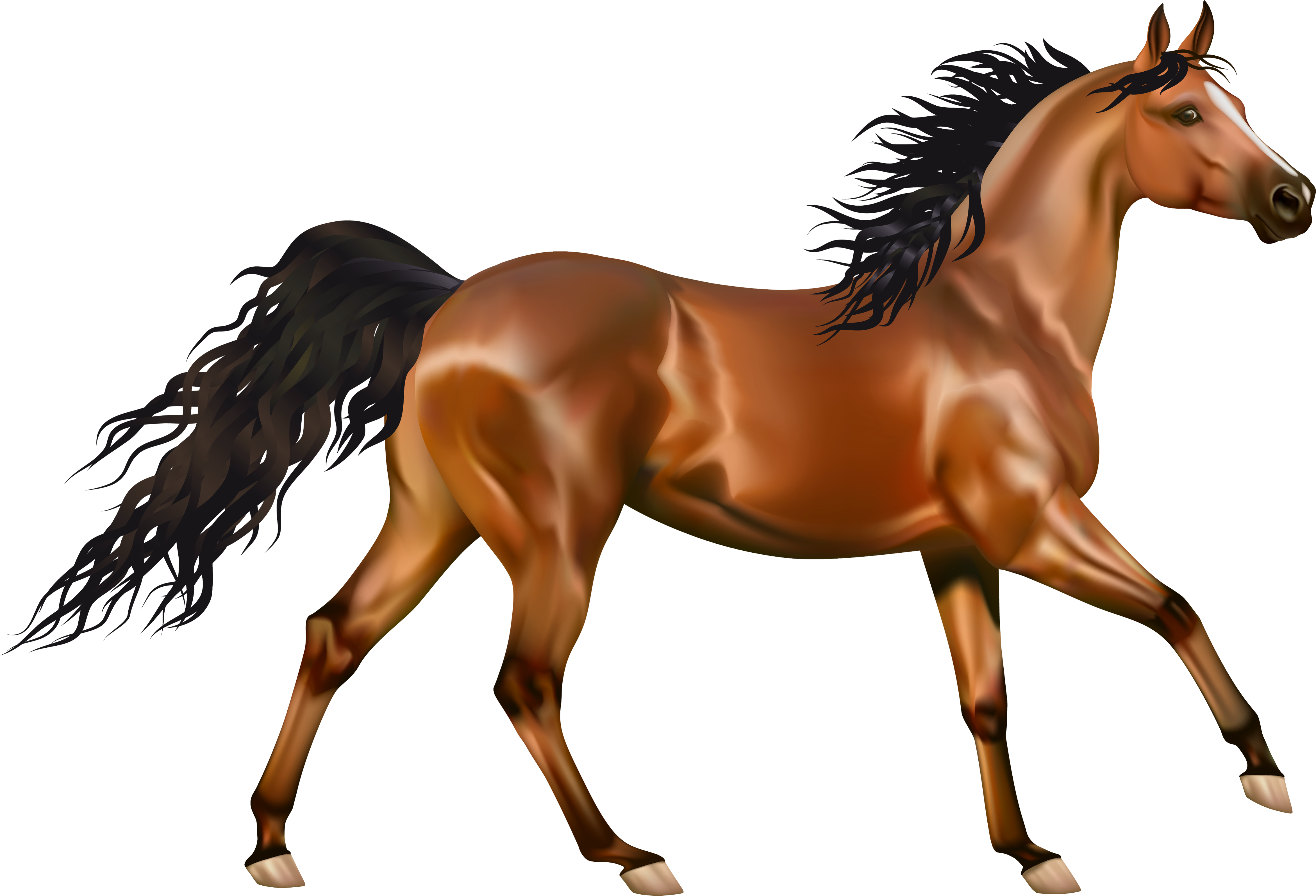 Download - Horse Png (4700x3210)
