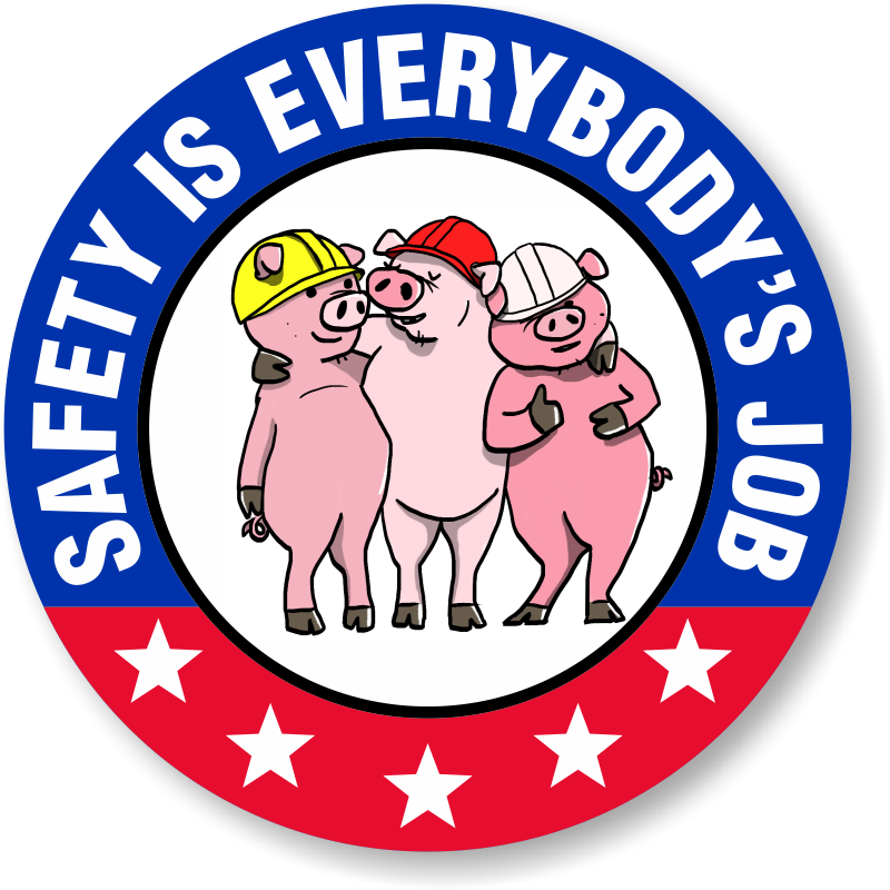 Safety Is Everybodys Job Hard Hat Label - Indiana South Stars Hockey (800x800)