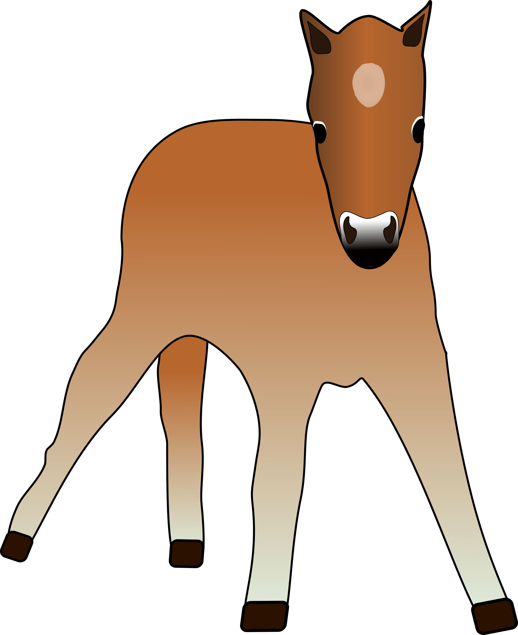 Foal - Horse Clipart (1959x2400)