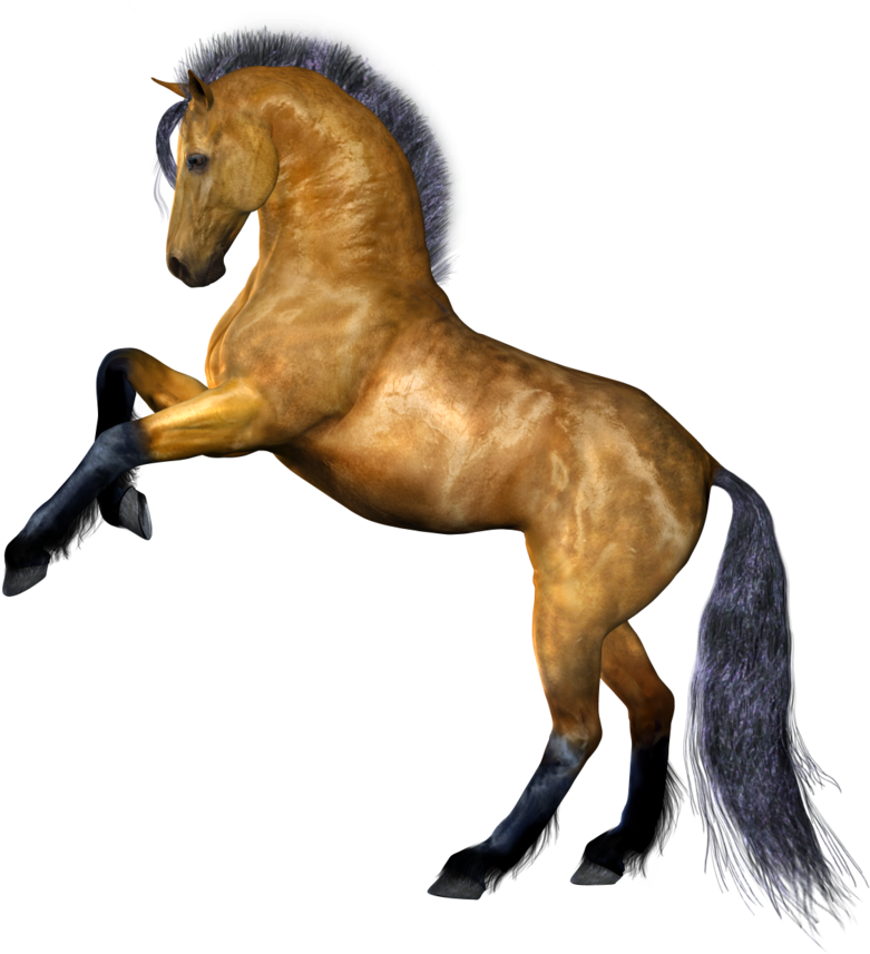Horse Transparent Background (900x863)