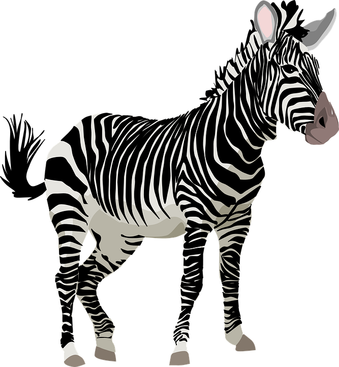 Zebra Clipart Wild Animal - Zebra Transparent (667x720)